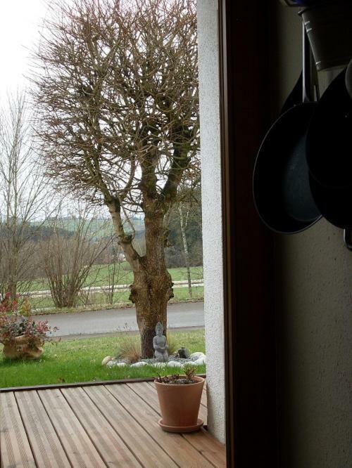 Apartamento Silvi Herdwangen-Schönach Exterior foto